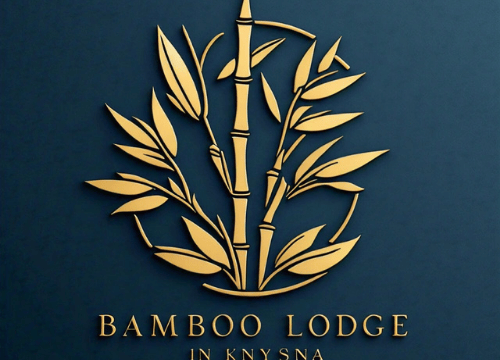 BAMBOO 6