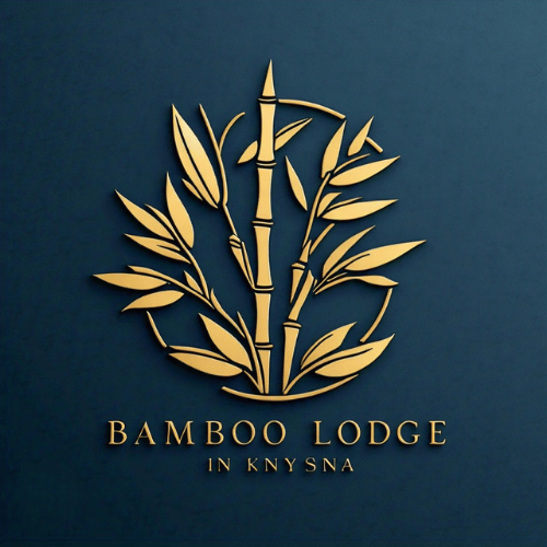 BAMBOO 6
