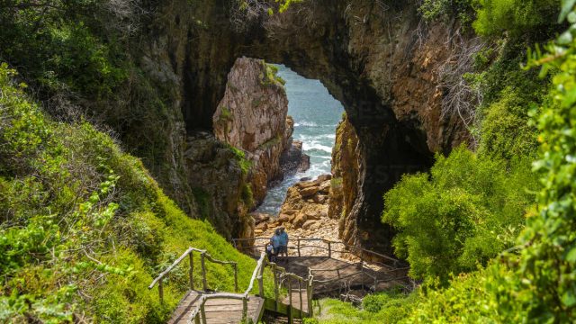 View of the Featherbed sea caves and coastline in Featherbed Nature Reserve, Knysna, Garden Route, Western Cape, South Africa, Africa