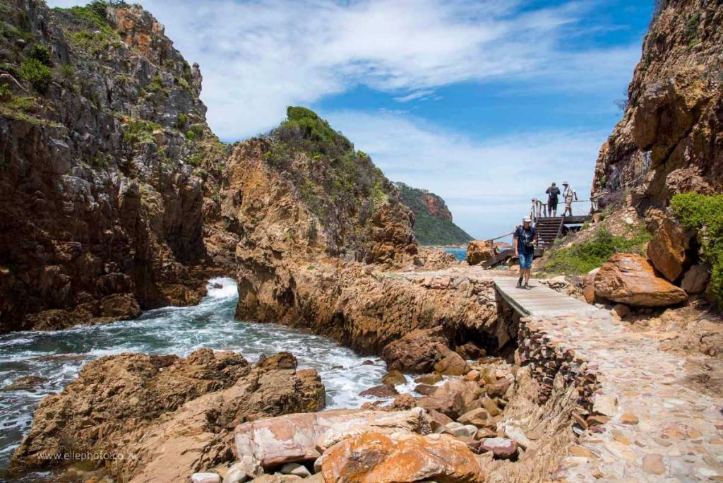 Featherbed 6