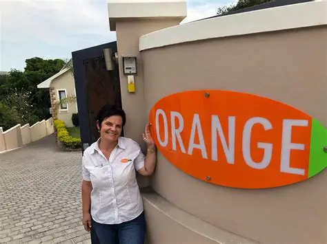 Orange 2
