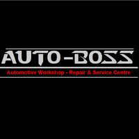 Auto Boss 1
