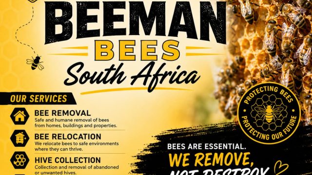 Bee 13