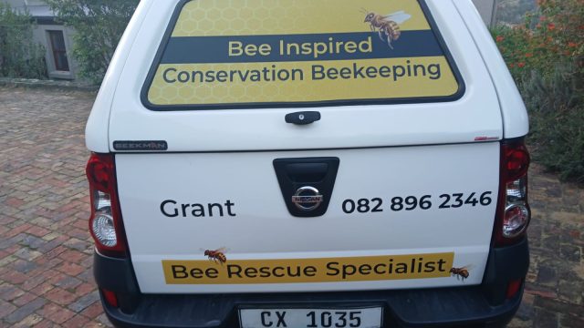 Bee 2 2
