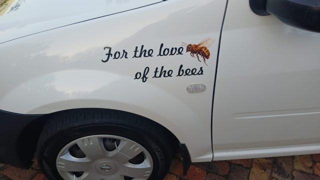 Bee 2 3