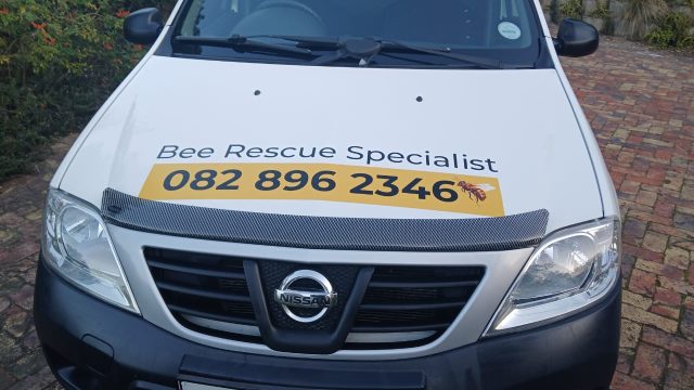 Bee 2 4