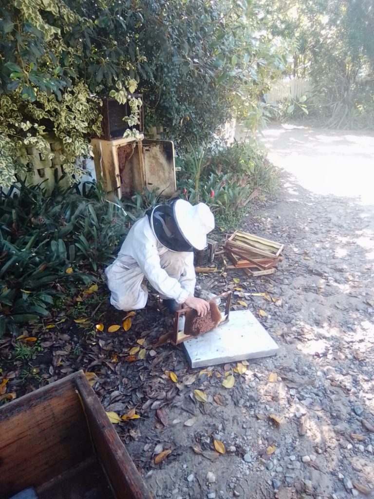 Bee 3