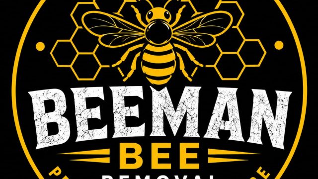 Bee 7