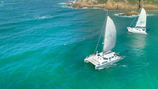 Boat Charters 5