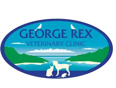 George 2
