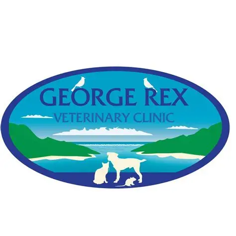 George 2