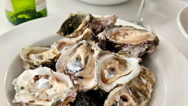 Oyster 2