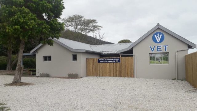 Vet 2