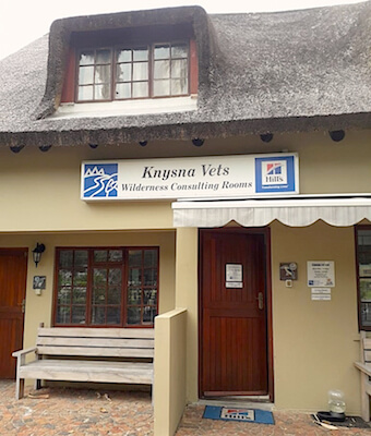 Vet 3