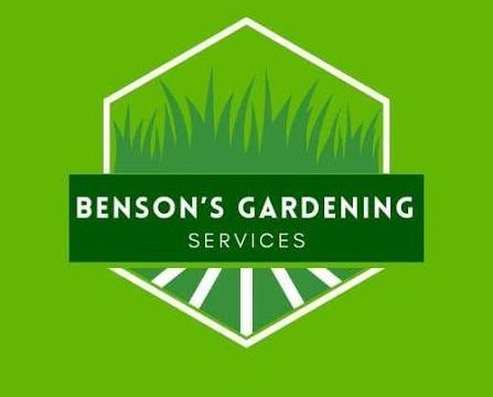 benson 1