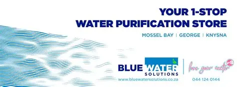 blue w 6