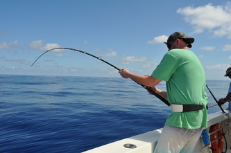 fish 4
