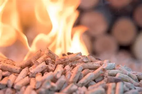 pellet 1