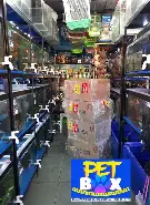 pet 1