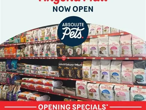 pet 1