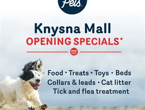 pet 3