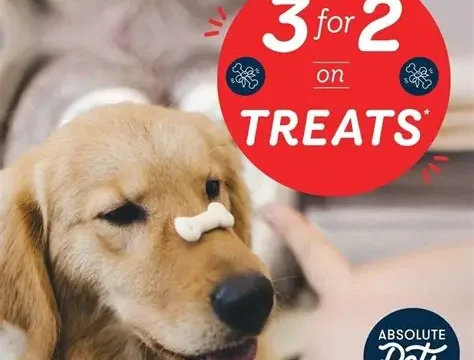 pet 4