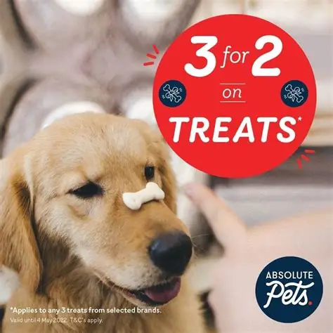 pet 4