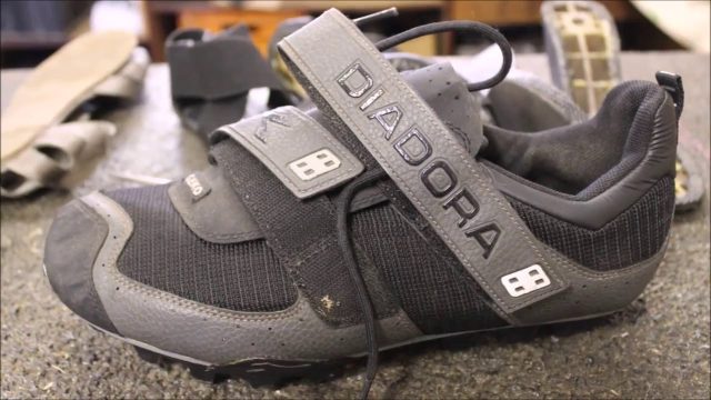 shoe 3