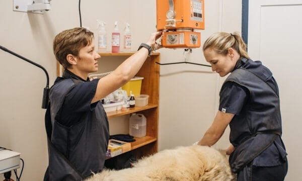 vet 5